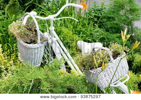 Old Bicycle Ideas For Gardening