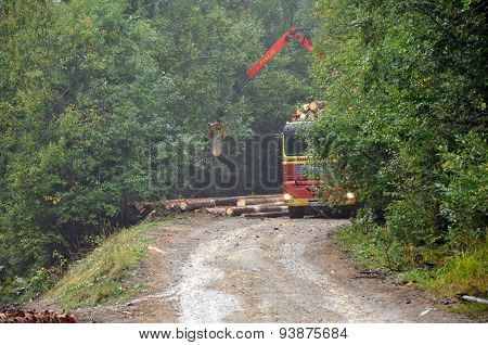 Loading A Timber Truck In The Forest
