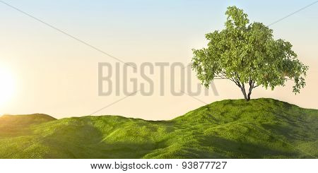 green field