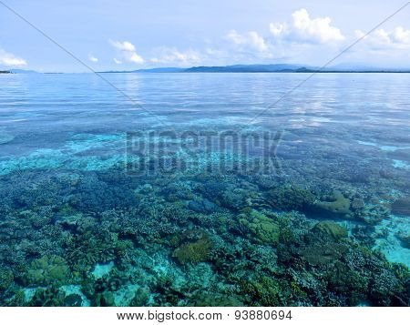 dodola, Maluku, Halmahera, Indonesien