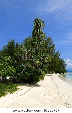 dodola, Maluku, Halmahera, Indonesien