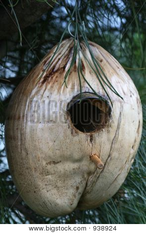 Kokosová Birdhouse