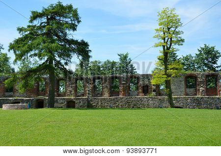 Castle ruins (Toszek in Poland)