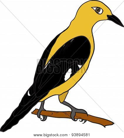 Bird sretch