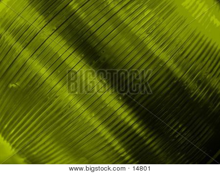 CDS DE COR VERDE