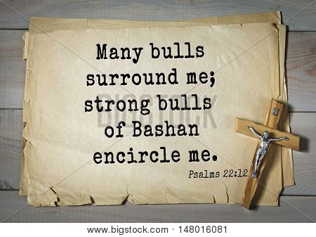 TOP-1000.  Bible verses from Psalms.Many bulls surround me; strong bulls of Bashan encircle me. 