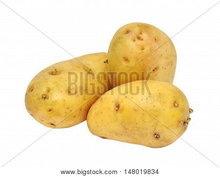 Ripe potatoes isolated on the white background