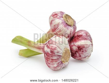 Fresh garlic isolated on the white background
