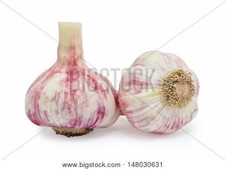 Fresh garlic isolated on the white background