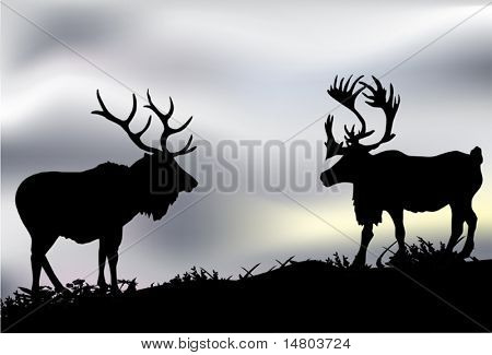 illustration with two deers in tundra