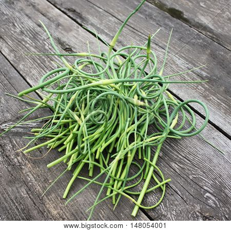 Garlic fresh green shoots on a wooden table background