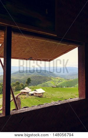 View from window at 