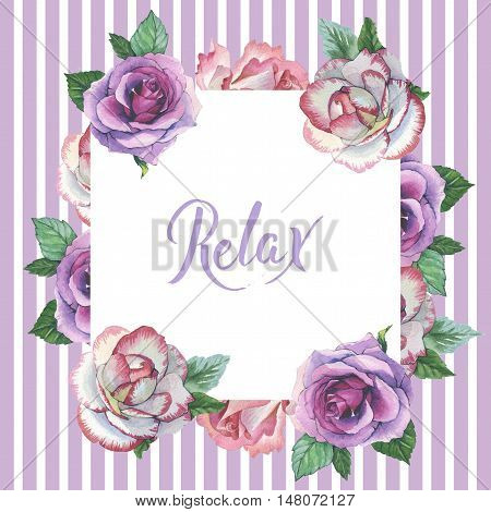 Wildflower rose flower frame in a watercolor style isolated. Full name of the plant: rose, platyrhodon, rosa. Aquarelle flower could be used for background, texture, pattern, frame or border.
