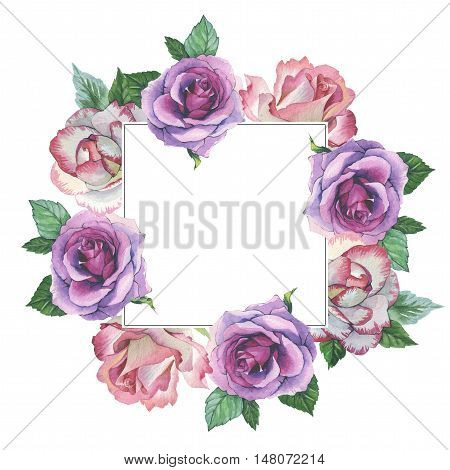 Wildflower rose flower frame in a watercolor style isolated. Full name of the plant: rose, platyrhodon, rosa. Aquarelle flower could be used for background, texture, pattern, frame or border.