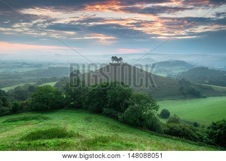 Colmer's Hill In Dorset