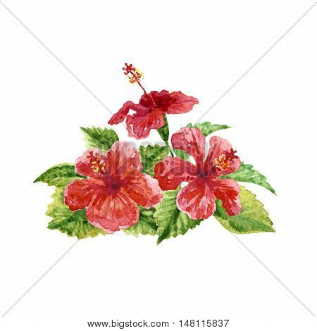 Raster vivid image of a pink hibiscus isolated on white. Design and floral element image for ads tags and covers decoration of different printed production.