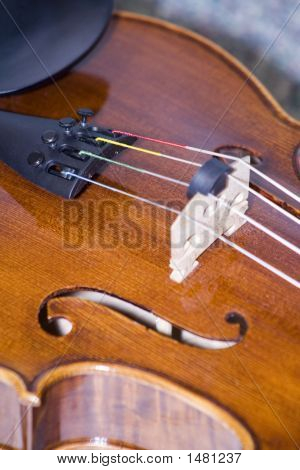 Violín Closeup