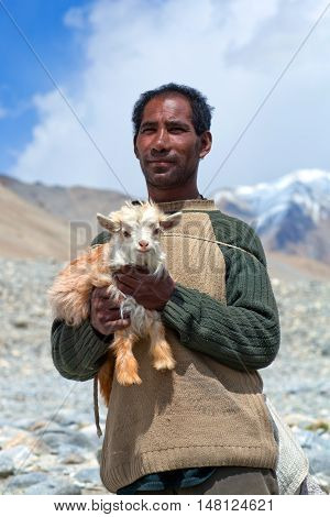 Tibetan Nomad With Goatling In Ladakh, India