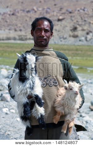 Tibetan Nomad With Goatling In Ladakh, India