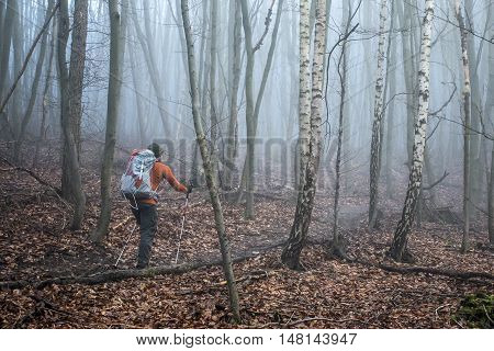 Hiking with friends in the wood on a foggy day in nature 5