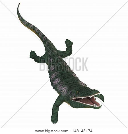 Archegosaurus Amphibian on White 3D Illustration - Archegosaurus was an amphibian tetrapod that lived in Europe during the Permian Period.