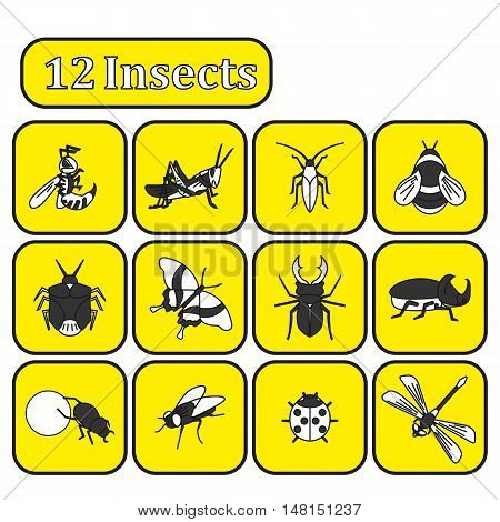 Set Of Various Insects