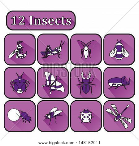 Set Of Various Insects