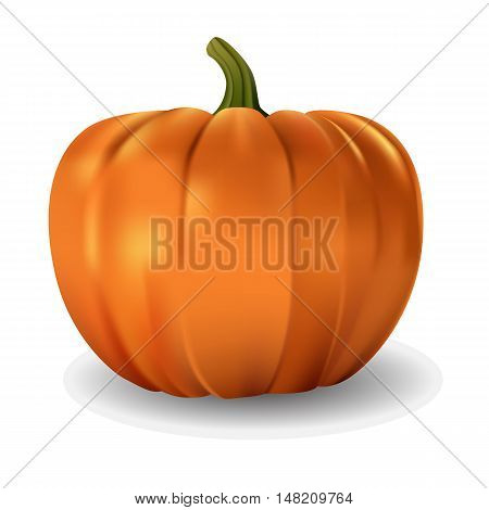Isolated realistic vector pumpkin on white background.