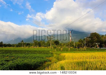 Landscape Sunny Mountain with padi field, Ciremai mountain landscape, the picture is taken from a paddy field of location Linggarjati Kuningan, West Java. Date: 23 Agusutus 2016