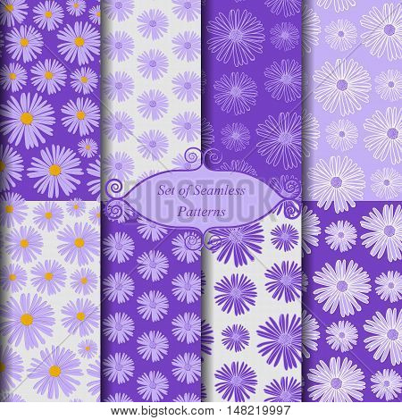 Vector set of seamless patterns. Daisies on different backgrounds.