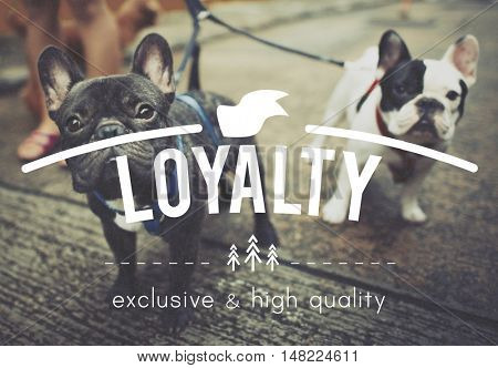 Loyalty Honest Devotion Respect Sincerity Trust Concept