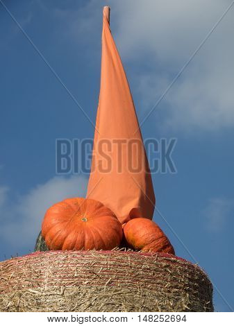 many pumpkins at thanksgivin in a german garden