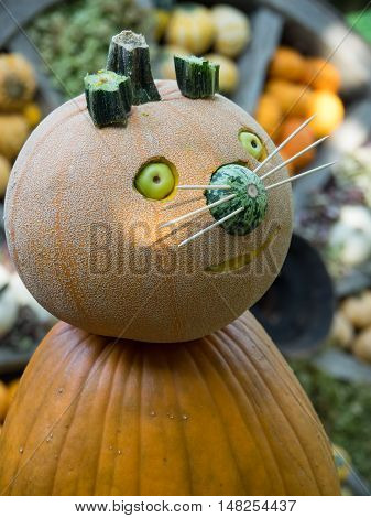 many pumpkins at thanksgivin in a german garden
