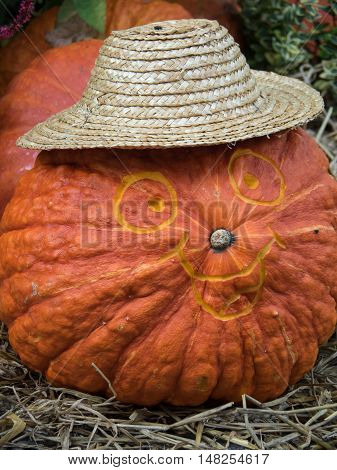 many pumpkins at thanksgivin in a german garden