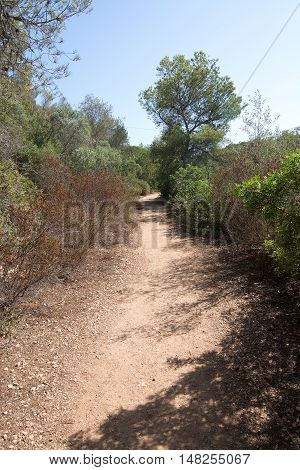 Cala Mondrago natural reserve park on a sunny day in September in Mallorca Spain.