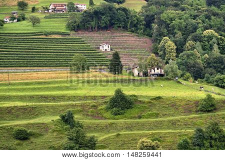 Landscape along the road between Maroggia and Arogno (Ticino Switzerland) at summer