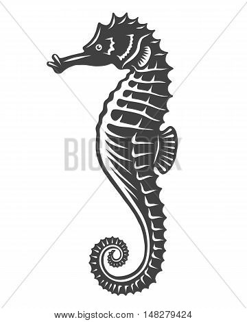 Monochrome sea horse icon isolated on white background