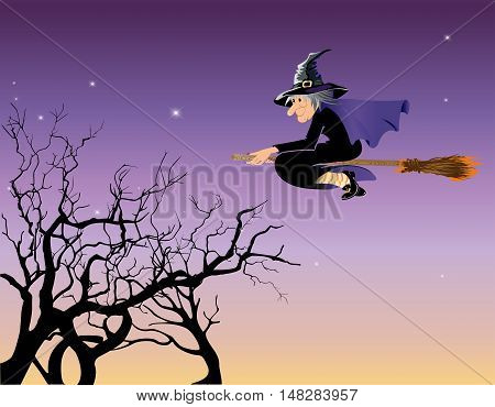 Halloween witch flying on a broom in a night sky