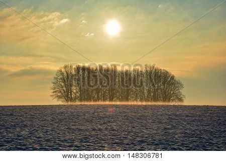 Sunrise in winter with trees, snow and fog