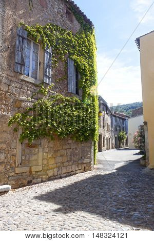 Street With Houses With Ivy In Lagrasse, France