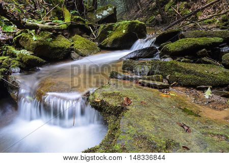 A crystal clear mountain stream in the Allegheny Mountains of Pennsylvania.