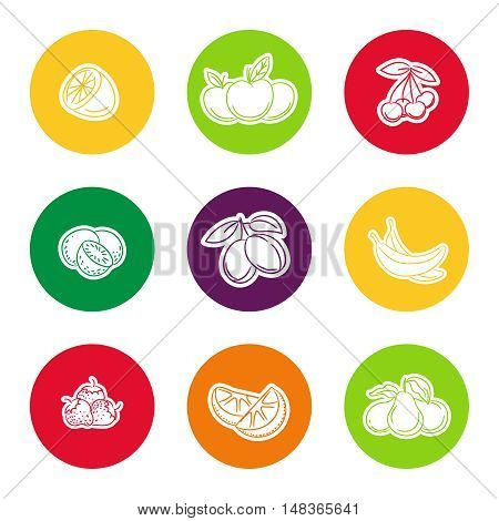 Line fruit icon set in colorful curcles vector illustration