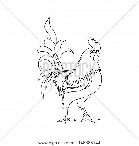 Black sketch drawing of of rooster is on white background. Chinese New Year 2017. Vector illustration.