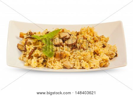 Hot Risotto With Mushrooms On White Plate On White Background