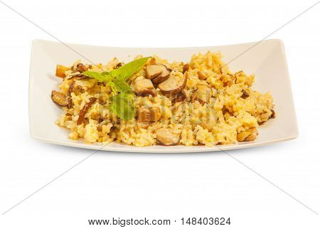 Hot Risotto With Mushrooms On White Plate On White Background