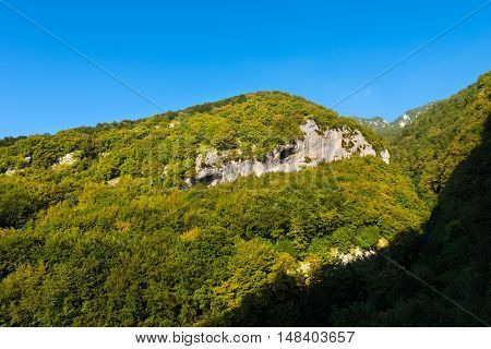 The green forests of Mount Baldo in summer (Baldo Mountain) 2218 m. and the rock walls smoothed by the action of the glacier. Verona Veneto Italy