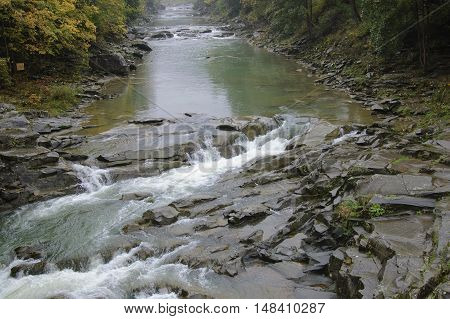 Prut river and its rapids in Carpathian mountains at rainy autumn day