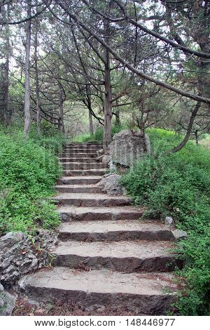 beautiful old stone stairs natural limestone with stone steps in summer coniferous park outside in Crimea