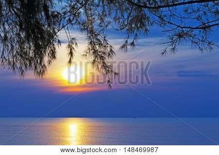 Sunrise and pine at Ban Krut Beach Prachuap Khirikhun Province Thailand