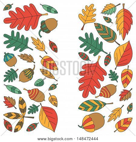 Pattern with autumn leaves Oak Mapple Acorn Linden Vector images